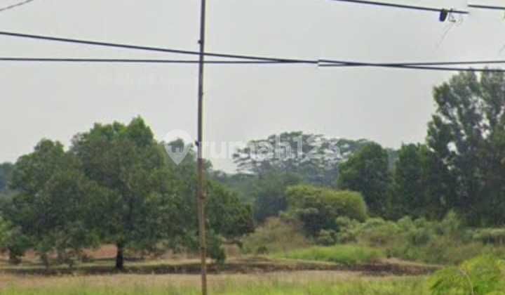 Lahan Bagus Disentul Lahan Bagus Disentul