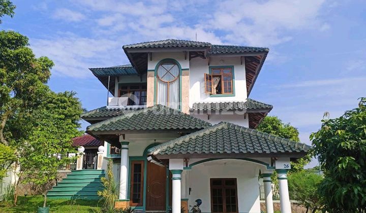 Comfortable, Cool Luxury Home 2