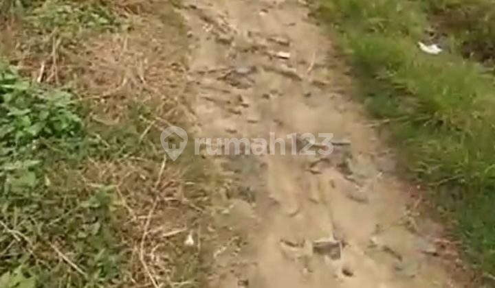 Good Extensive Land for Agriculture East Lampung