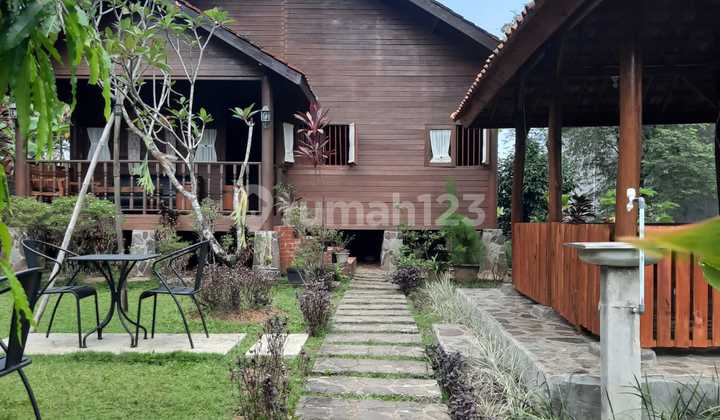 Good Land for Villas and Business