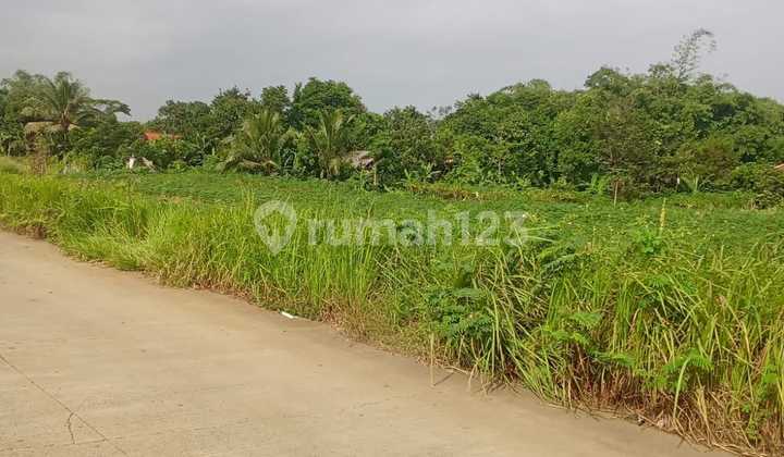 Lahan Bagus Untuk Industri Pabrik Dan Gudang