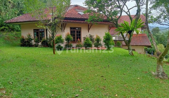 Villa Mewah Cipayung Megamendung