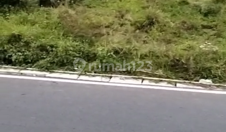 Land For Sale In Bogor By The Roadside