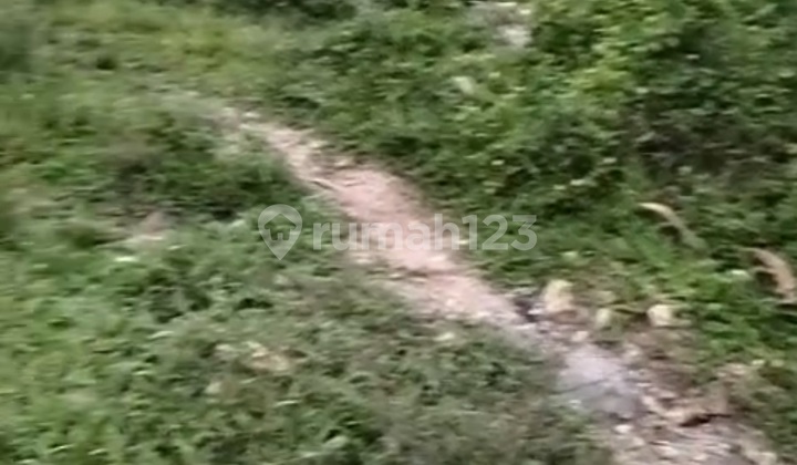 Land For Sale In Bogor By The Roadside