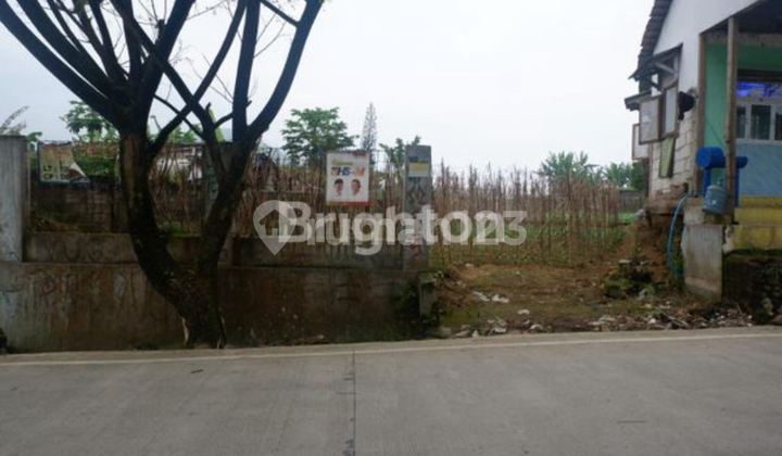 Tanah Di Jual@cipanas Tanah 1000.0