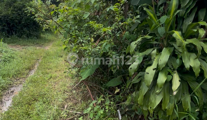 Dijual Tanah Area Strategis di Sawangan Dijual Tanah Area Strategis di Sawangan