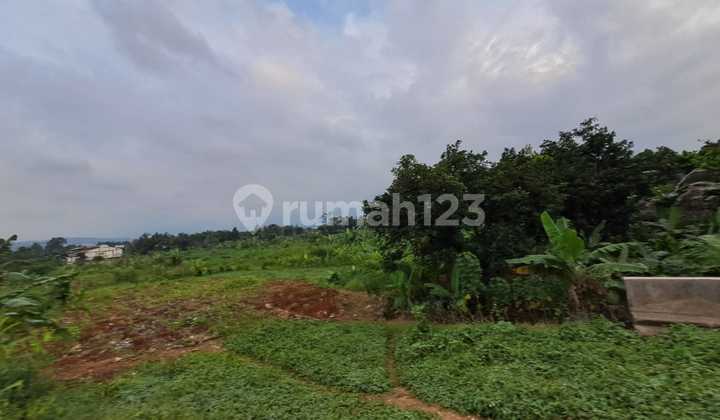 Land For Sale In Sentul