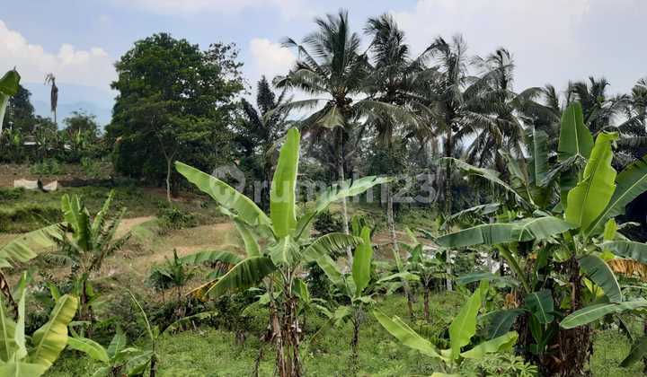 Duijual.tanah Subur Di Area Pabuaran Bogor 