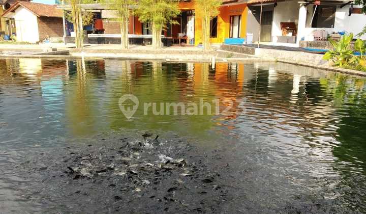 Rumah N Kost Dijual 3 Bangunan Rumah N Kost Dijual 3 Bangunan