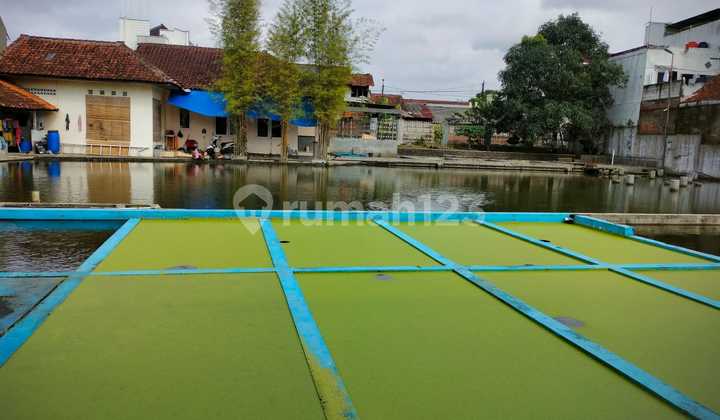 House and Boarding House for Sale 3 Buildings 2