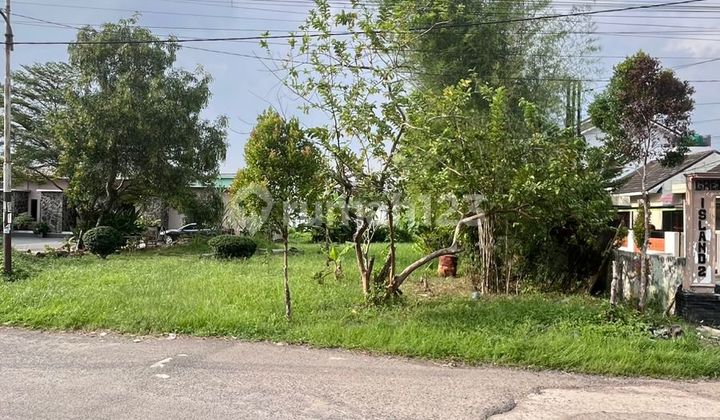 Tanah Kancil Putih Bersama 11 IB 1 Palembang