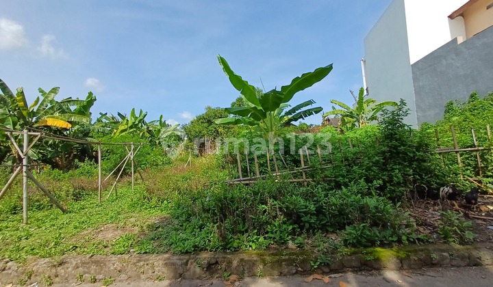 Dekat Ramayan Ballet Prambanan, Tanah Strategis Kalasan Dekat Ramayan Ballet Prambanan, Tanah Strategis Kalasan