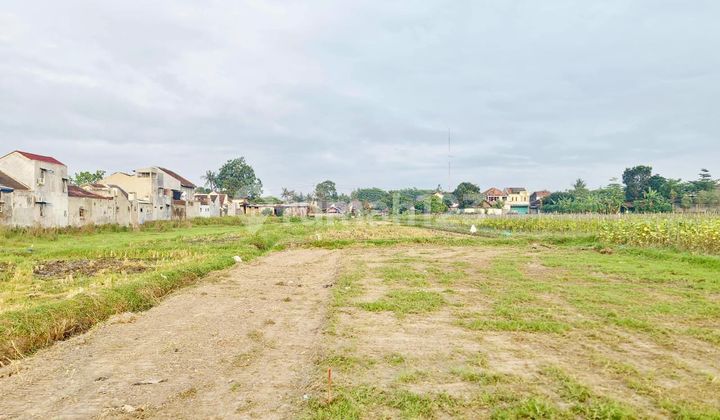 Tanah SHM Sidoarum View Sawah Asri Godean Tanah SHM Sidoarum View Sawah Asri Godean