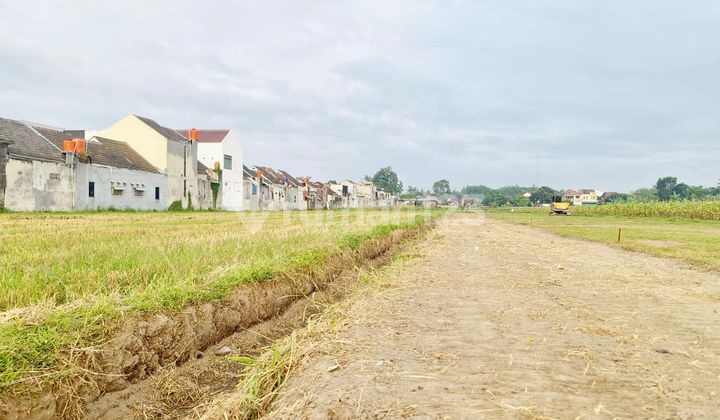 Godean Land with SHM Certificate, Yard, Near Empal Gentong Bibis Godean Land with SHM Certificate, Yard, Near Empal Gentong Bibis