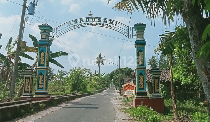 Dekat Kampus Uii Kaliurang, Tanah Sleman Siap AJB