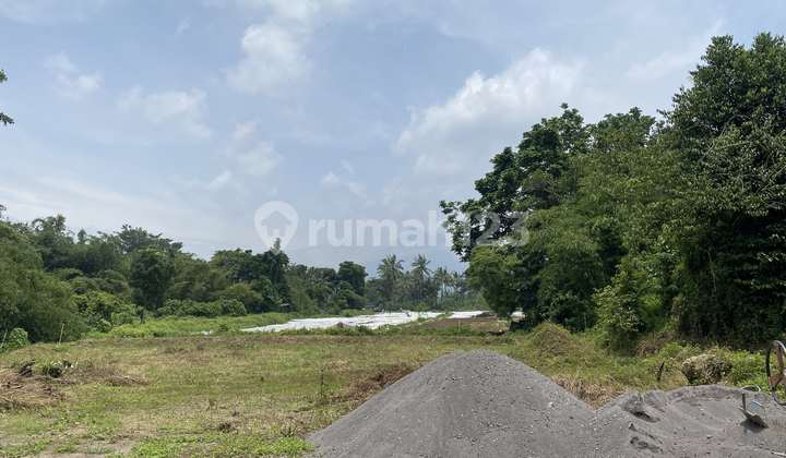 Di Jual Tanah Siap AJB, Lokasi Dekat Pakem Kaliurang Di Jual Tanah Siap AJB, Lokasi Dekat Pakem Kaliurang