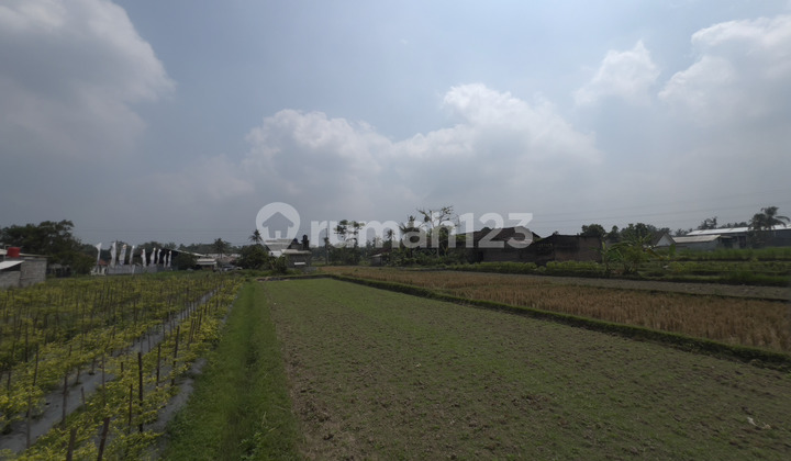 AsriPalagan Land Near Jejamuran Restaurant