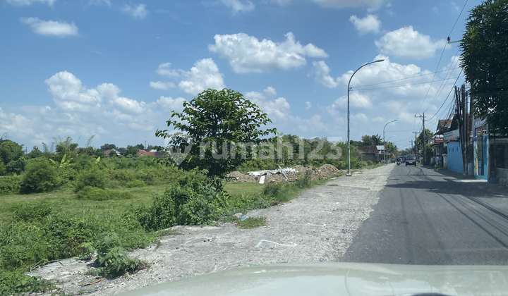 Tanah Bantul Hanya 5 Menit KeKampus UAD 4
