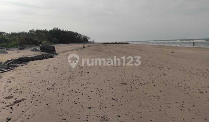 Dijual Tanah Padat Dekat Pantai, Rembang Jawa Tengah