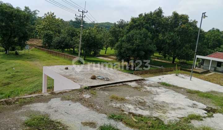 Jual Cafe Dan Kebun Mangga Di Majalengka Jawa Barat 1