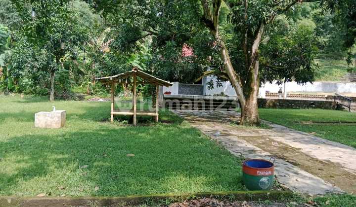 Jual Cafe Dan Kebun Mangga Di Majalengka Jawa Barat 2