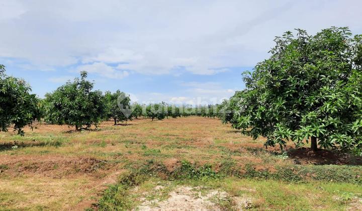 Dijual Tanah Luas Di Sumedang – Di Bawah Harga Pasar! 1