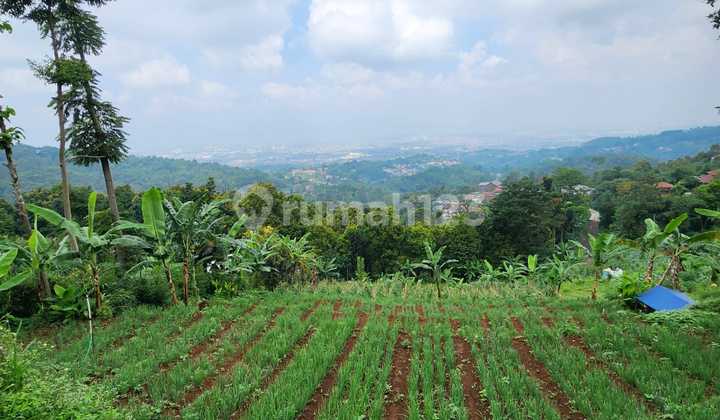 Dijual Tanah Strategis Di Sindanglaya, Arcamanik – Cocok Untuk Investasi Atau Hunian! Dijual Tanah Strategis Di Sindanglaya, Arcamanik – Cocok Untuk Investasi Atau Hunian!