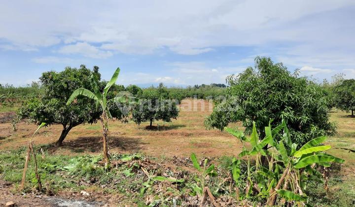 Dijual Tanah Luas Di Sumedang – Di Bawah Harga Pasar! 2