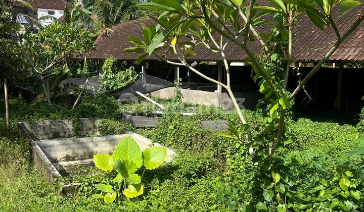 Tanah Kavling Siap Bangun di Kemenuh Ubud, Bali