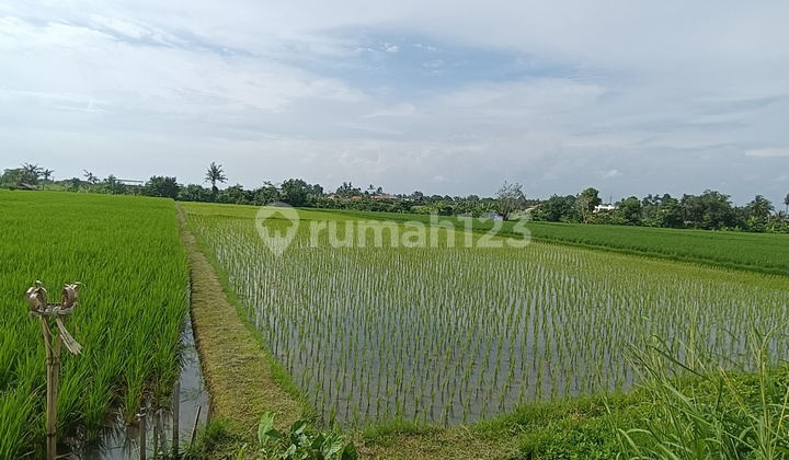 Land for Rent at Kedungu Beach