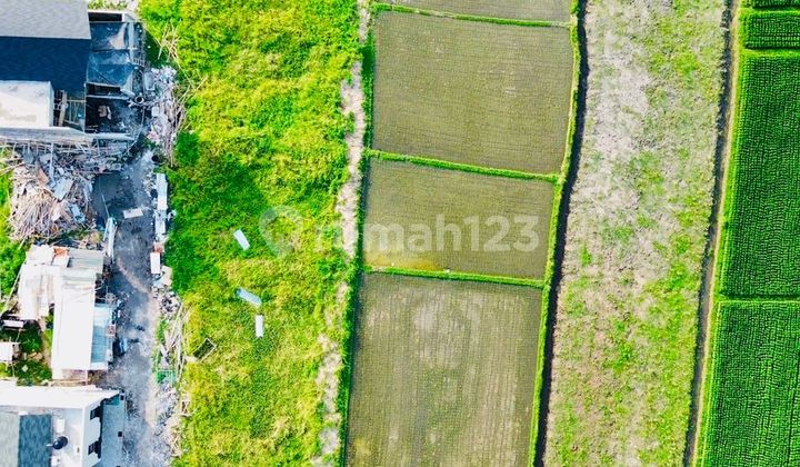 Dijual Tanah di Pantai Kedungu Tabanan Dijual Tanah di Pantai Kedungu Tabanan