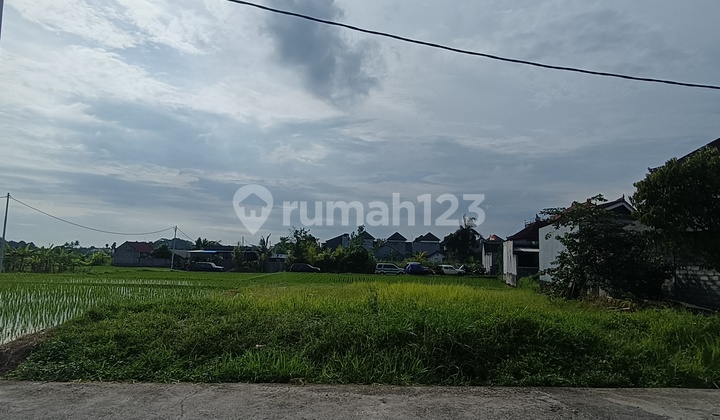 Land for Sale Premium Location Tabanan Bali Land for Sale Premium Location Tabanan Bali