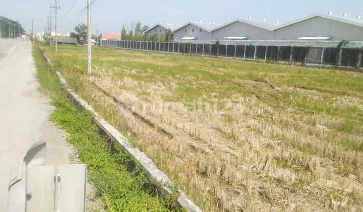 Dijual : Tanah Di Kali Rambut , Pemalang