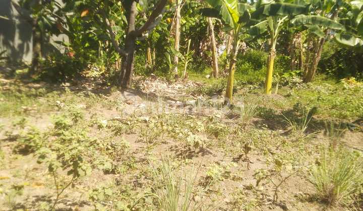 Dijual : Tanah Di Jl. Gatot Subroto Bojongbata Pemalang Dijual : Tanah Di Jl. Gatot Subroto Bojongbata Pemalang