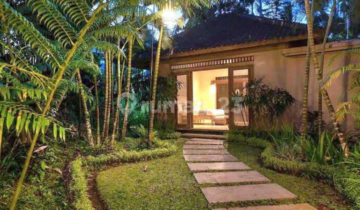 Comfortable Cool Villa in Bresela Payangan Bali