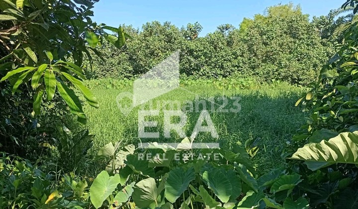 Ready-to-use warehouse Ready-to-use warehouse