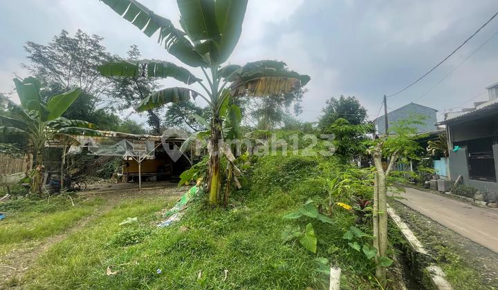 Tanah Strategis Bebas Banjir di Perumahan Ciomas Permai, Bogor