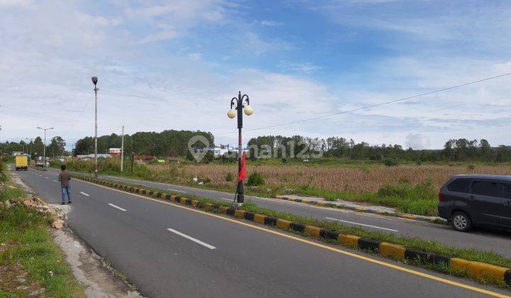 Tanah Shm Di Depan  Bandara Silangit-Siborongborong Dijual Murah 2