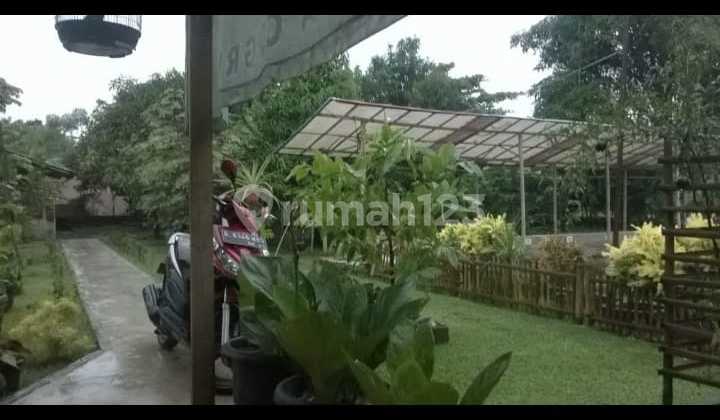 Jual Tanah Murah Di Parung Jual Tanah Murah Di Parung