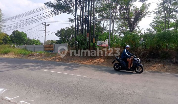 Bisa Beli Sebagian Luas Dipinggir Jalan Cocok Untuk Perumahan Atau Apa Pun 1