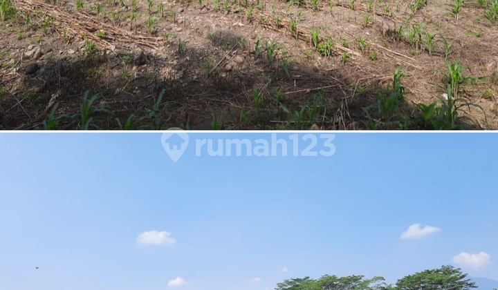 Cocok Untuk Perumahan Murah Dekat Unnes Di Pinggir Jalan Raya Strategis Bebas Banjir 1