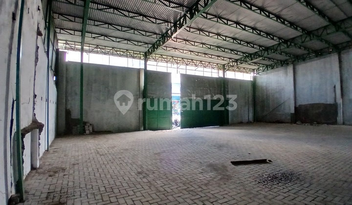 Very Strong Full Cor Strategic Warehouse Not Flooded 1