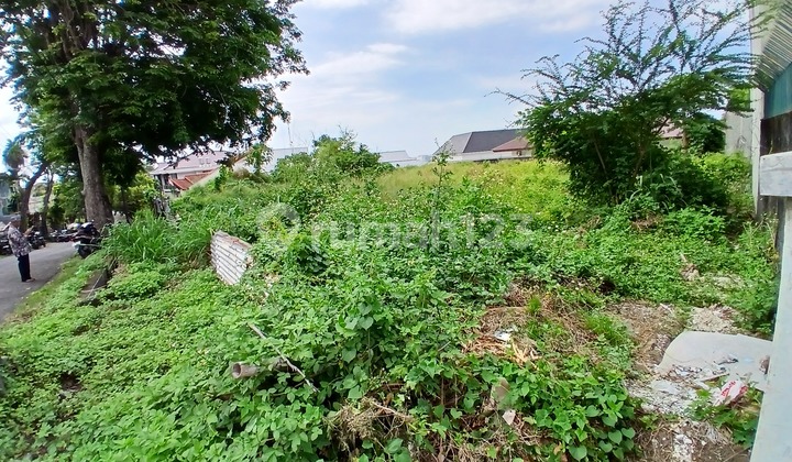 Hunian Elite Dekat Simpang Lima Dekat Rs Elizabeth Dekat Undip 2