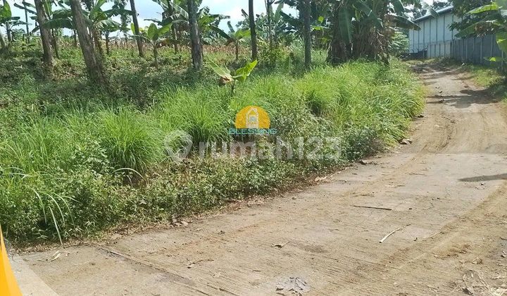 Suitable for Investment 1