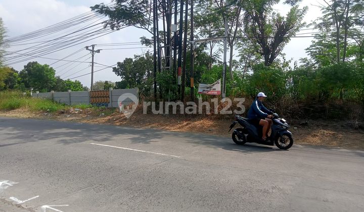 Cocok Untuk Perumahan Murah Dekat Unnes Di Pinggir Jalan Raya Strategis Bebas Banjir 2