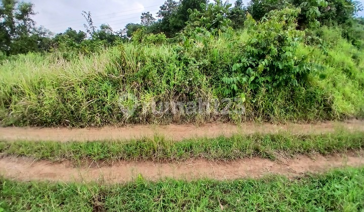 Near Batang Industrial Area, a highly potential location along the Batang Pantura Main Road. Near Batang Industrial Area, a highly potential location along the Batang Pantura Main Road.