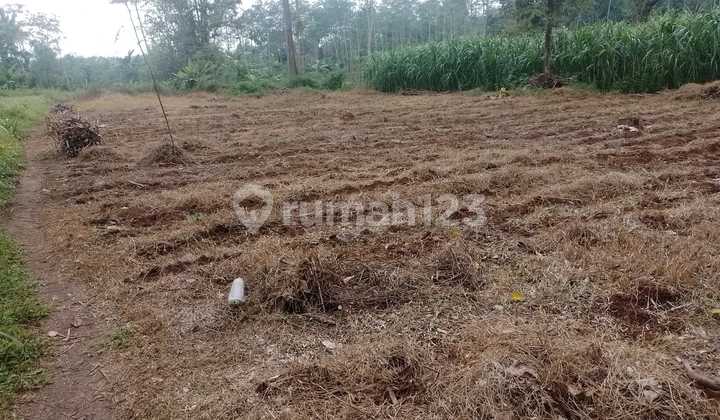 Sangat Murah Dekat Banyak Perumahanpotensi untuk Investasi 2