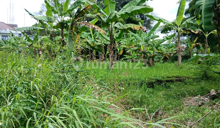 Very Cheap Good Shape Flood Free Good Road 2