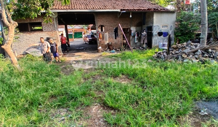 Very Cheap, Very Potential, Very Strategic Location, Highly Developing Area, Flood-Free 2