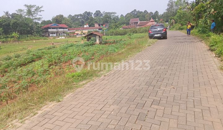 Close to University Close to Hospital Close to International School Close to Tourist Attractions 2